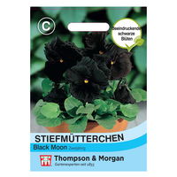 Thompson & Morgan Blumensamen Stiefmütterchen Black Moon