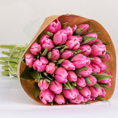 50 pinke Tulpen