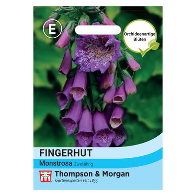 Thompson & Morgen Fingerhut 