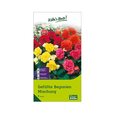 Gefüllte Begonien Mischung, 3 Blumenknollen