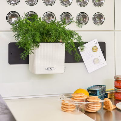 Lechuza 'Green Wall Home Kit Color', weiß, ca. 48 x 15 x H 14 cm Lechuza 'Green Wall Home Kit Color', weiß, ca. 48 x 15 x H 14 cm