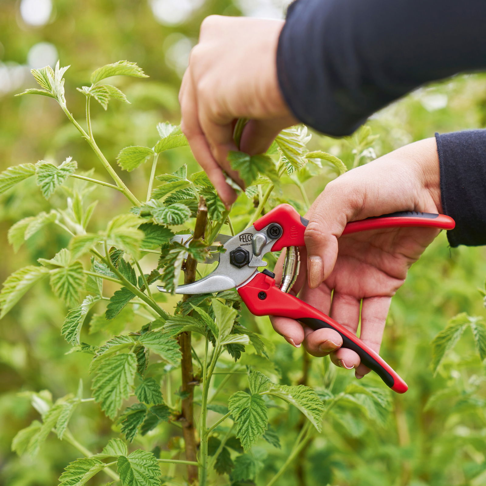 Felco Baumschere Nr. 171-M