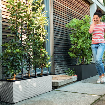 Lechuza 'Trio Cottage 30', lichtgrau, ca. 100 x 32,5 x H 34,5 cm