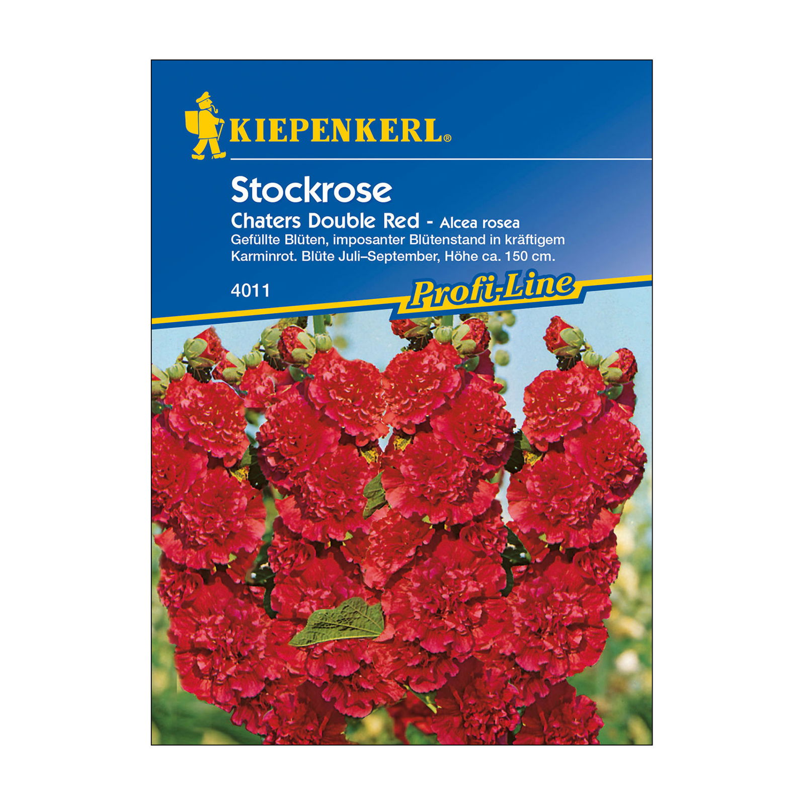 Blumensamen, Stockrose 'Chaters Double Red', rot
