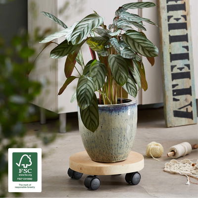 Multi Roller GH0268, Tragkraft 50 kg, natur, Ø 25-30 cm Multi Roller GH0268, Tragkraft 50 kg, natur, Ø 25-30 cm