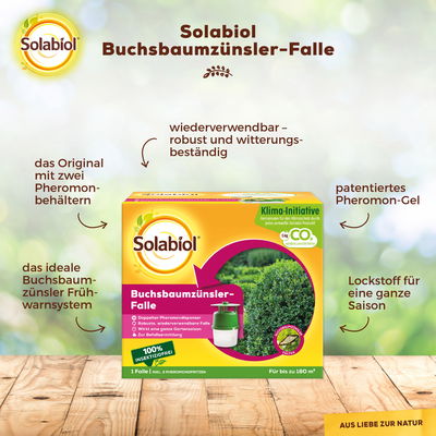 Buchsbaumzünsler-Falle, ausreichend für bis zu 180 m²