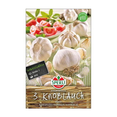 3 Stück Knoblauch Flavor, Allium sativum, Gr. 1, weiß