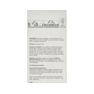 Ranunkeln-Mischung 'Aviv', pastell, Größe 7/+, 10 Blumenzwiebeln Ranunkeln-Mischung 'Aviv', pastell, Größe 7/+, 10 Blumenzwiebeln