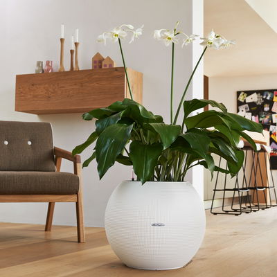 Lechuza 'Puro Color 50', weiß, ca. Ø 50 x H 39 cm Lechuza 'Puro Color 50', weiß, ca. Ø 50 x H 39 cm