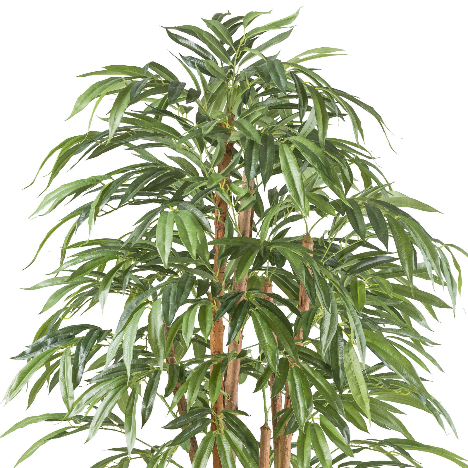 Künstlicher Ficus longifolia, Höhe ca. 170 cm