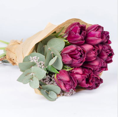 Tulpen Schnittblumen-Mix, lila Tulpen Schnittblumen-Mix, lila