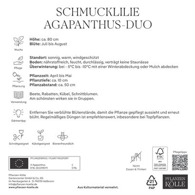 Kölles Beste Agapanthus Mischung, blau & weiß, 2 Blumenzwiebeln