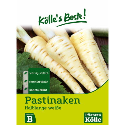 Kölles Beste Gemüsesamen Pastinaken Halblange weiß