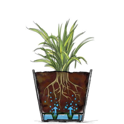 Scheurich Pflanzgefäß 'Groove+', carbon, ca. Ø 39 x H 35 cm Scheurich Pflanzgefäß 'Groove+', carbon, ca. Ø 39 x H 35 cm