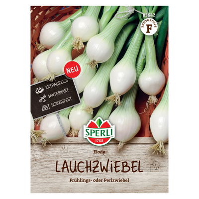 Saatgut Lauchzwiebel 'Elody' Saatgut Lauchzwiebel 'Elody'