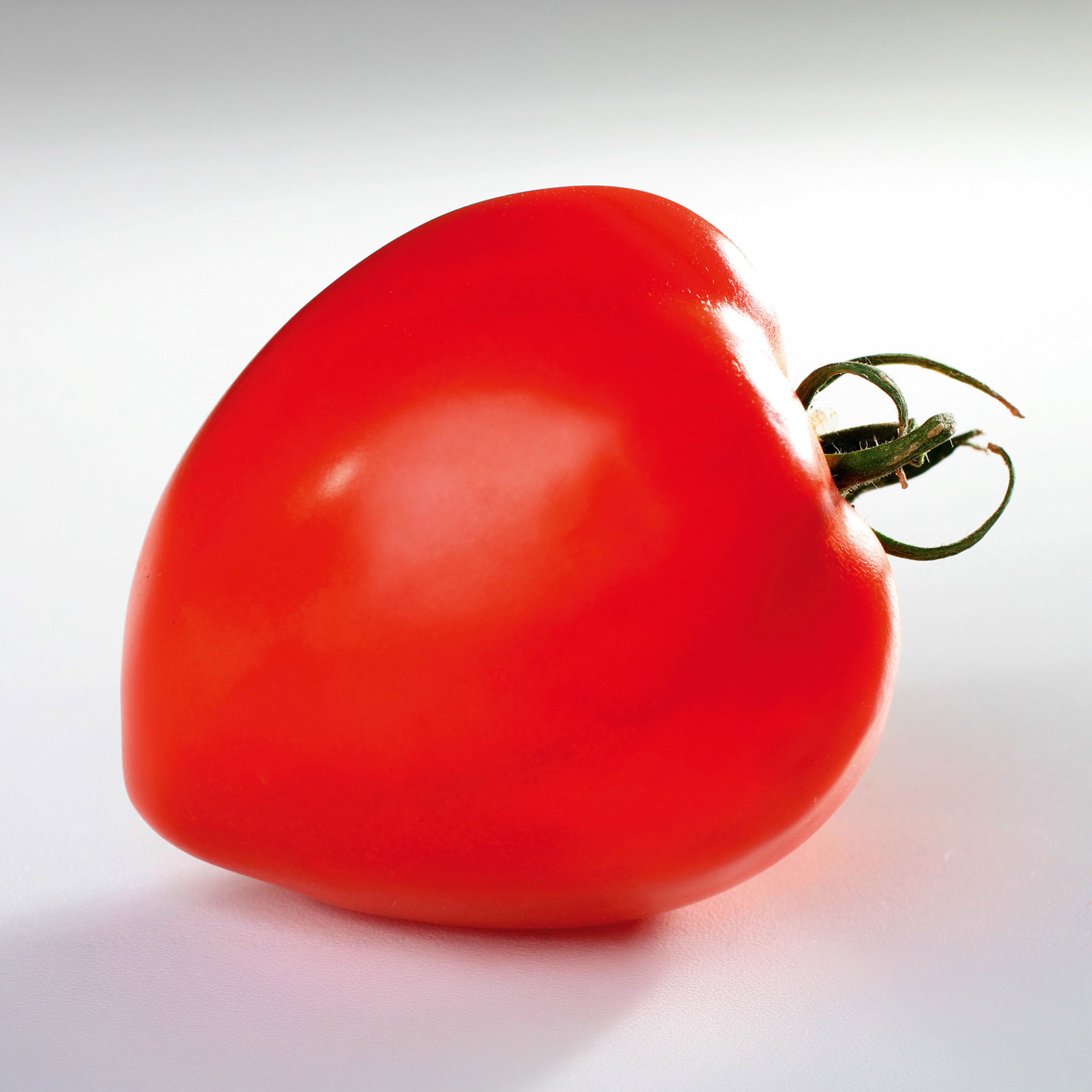 Bio Ochsenherztomate 'Fleurette', Topf-Ø 12 cm, 3 Pflanzen