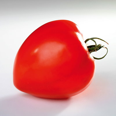 Bio Ochsenherztomate 'Fleurette', Topf-Ø 12 cm, 3 Pflanzen