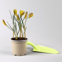 Zwiebelpflanzen-Set Frühlingsbote, gelb-weiß, 9 Pflanzen Zwiebelpflanzen-Set Frühlingsbote, gelb-weiß, 9 Pflanzen