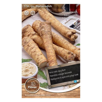 Meerrettich Armoracia zum Eigenanbau für Ihren Garten Meerrettich Armoracia zum Eigenanbau für Ihren Garten