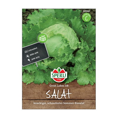 Gemüsesamen, Eissalat 'Great Lakes'