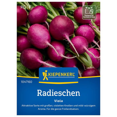 Saatband, Radieschen 'Viola'
