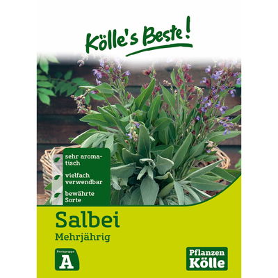 Kölles Beste Salbei mehrjährig, 6 g