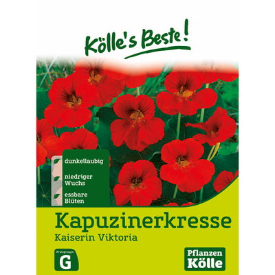 Kölles Beste Blumensamen Kapuzinerkresse 