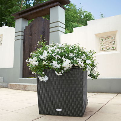 Lechuza 'Cube Cottage 50', granit, ca. 49 x 49 x H 49,5 cm