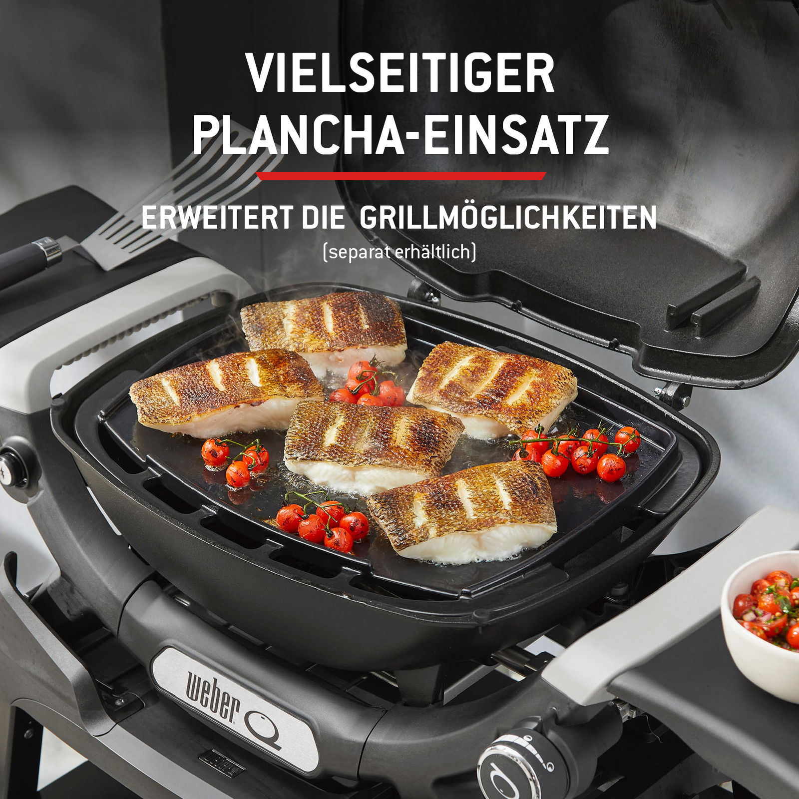 Weber Gasgrill 'Q1200N', schwarz