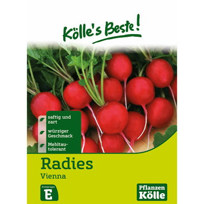 Kölles Beste Gemüsesamen Radieschen Vienna