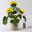 Sonnenblume 'Sunsation'® ,gelb, verzweigt, Topf-Ø 13 cm, 3 Pflanzen