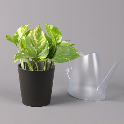 Efeutute mit Keramiktopf Dallas anthrazit, Topf-Ø 12 cm, Höhe ca. 15 cm