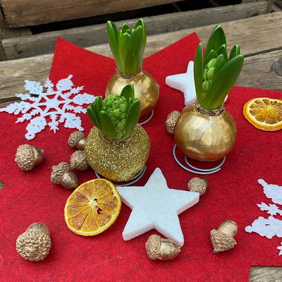 Hyazinthe in Wachs metallic gold, 4 Stück