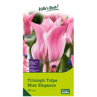 Kölle's Beste Tulpe 'Miss Elegance®', rosa