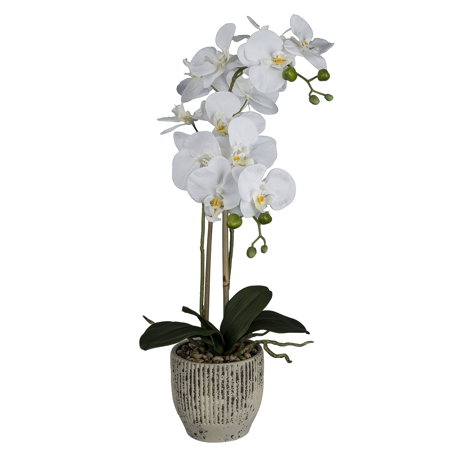 Kunstpflanze Phalaenopsis im Keramikopf, Höhe ca. 55 cm