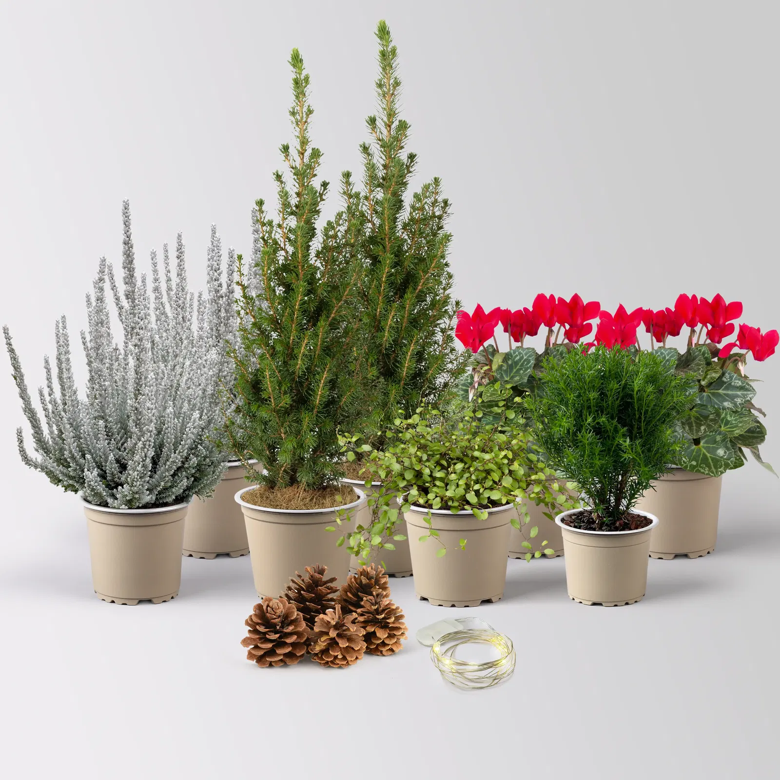 Kreation Vorweihnachtszeit Kreation Vorweihnachtszeit