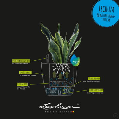 Lechuza 'Classico Color 28', muskat, ca. Ø 27,5 x H 26 cm