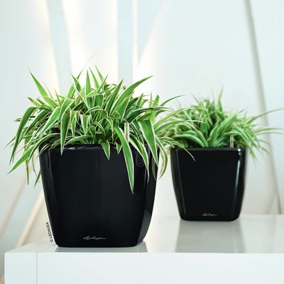 Lechuza 'Quadro LS 21', schwarz, ca. 21 x 21 x H 20 cm Lechuza 'Quadro LS 21', schwarz, ca. 21 x 21 x H 20 cm