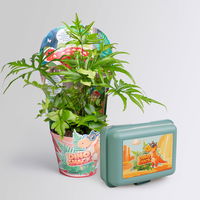 Dino Snack®, Ares, Speerfarn, Topf-Ø 14 cm, mit Brotdose