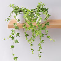 Hedera helix in Keramiktopf Dallas weiß, Topf-Ø 12/13 cm, 2er-Set