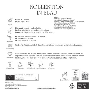Blumenmischung 'Bienenweide Mischung', blau, 20 Zwiebeln