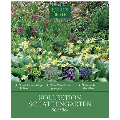 Kollektion Reizvoller Schattengarten, 50 Blumenzwiebeln