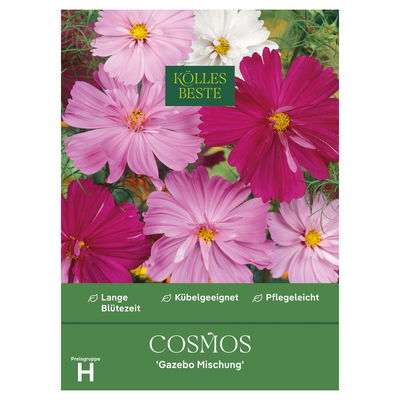 Kölles Beste Saatgutmischung Schmuckkörbchen 'Cosmos Gazebo', bunt