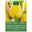 Darwin Hybride Tulpen Golden Apeldoorn gelb, 7 Blumenzwiebeln