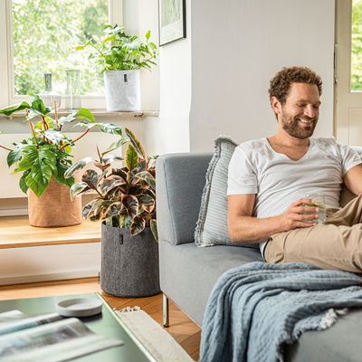 Lechuza 'Trendcover 32 Kork', dark natural, ca. Ø 32 x H 33 cm