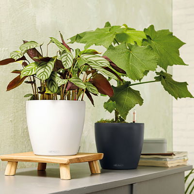 Lechuza 'Classico Color 18', schiefergrau, ca. Ø 19 x H 17 cm