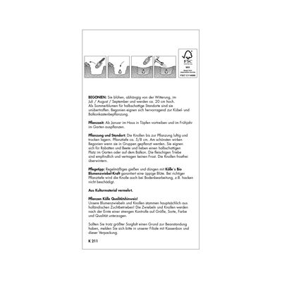 Hängebegonie, rosa, 3 Blumenknollen