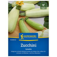 Saatgut Zucchini 'Ismalia'