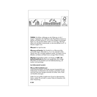 Tigerblumen Mischung, groß, 15 Blumenzwiebeln