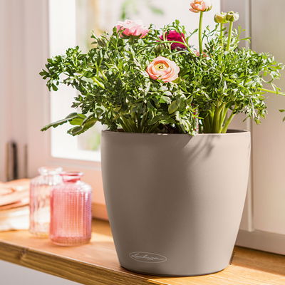 Lechuza 'Classico Color 35', sandbraun, ca. Ø 34,5 x H 32,5 cm Lechuza 'Classico Color 35', sandbraun, ca. Ø 34,5 x H 32,5 cm